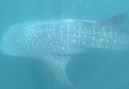 5bc58a5b-591f-488d-9b16-7e2bc0f02bb5