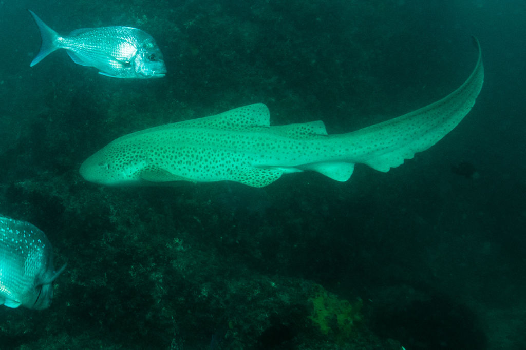 1c3f9687-5e97-4575-a686-99226039def6