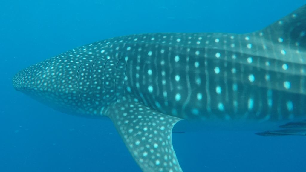 fd7c2e42-2e8c-4ebe-88f3-1557d36e701b