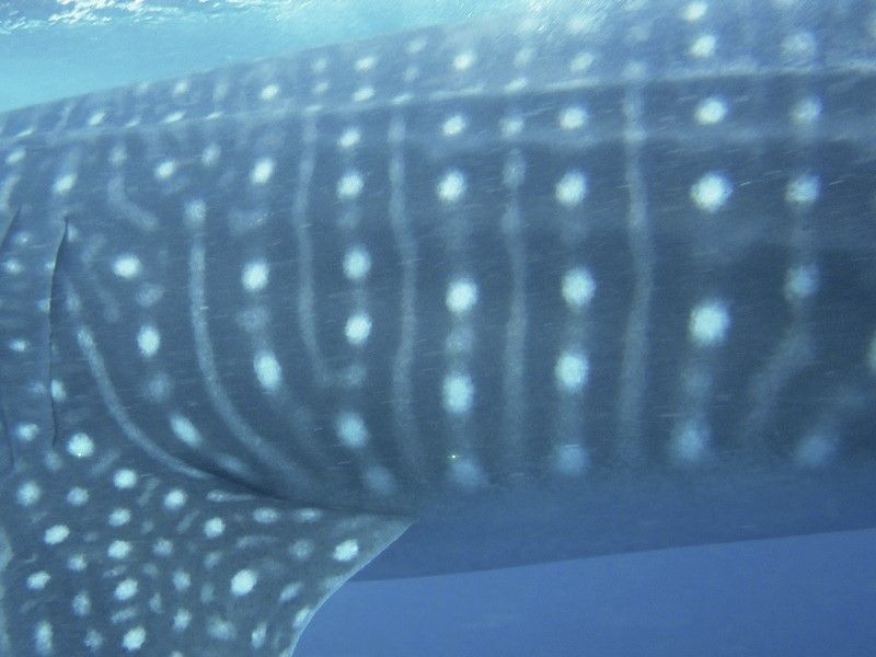 c85881ae-b773-4196-8ff2-bf542872e7ab