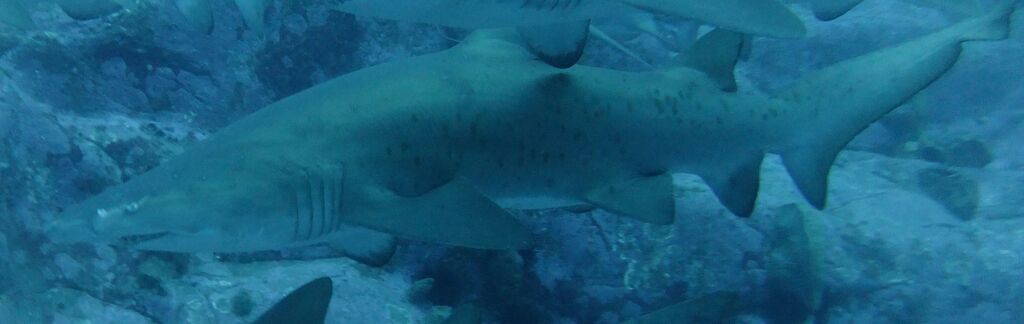 9cbd9a04-0693-4d0d-a3d5-e9f1690fcfa8