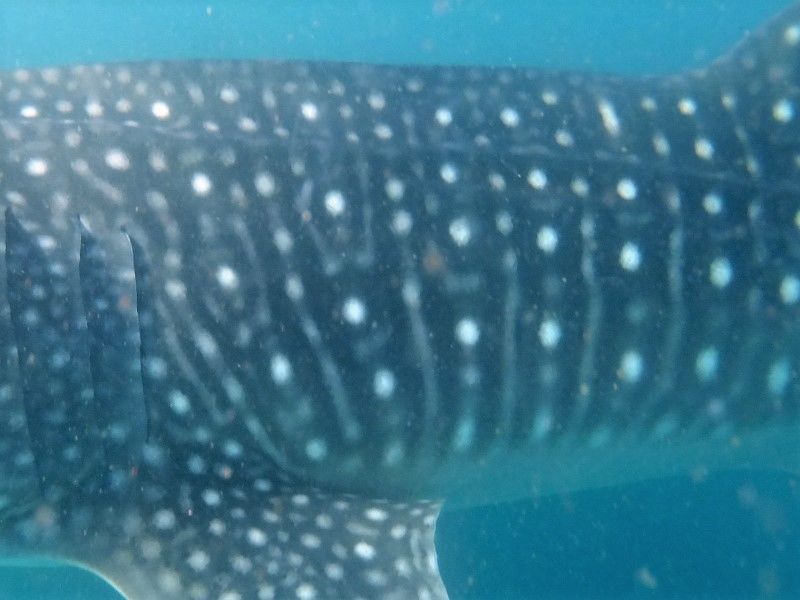 78fd82ac-9323-475e-bd8c-2ff3b8357dcc