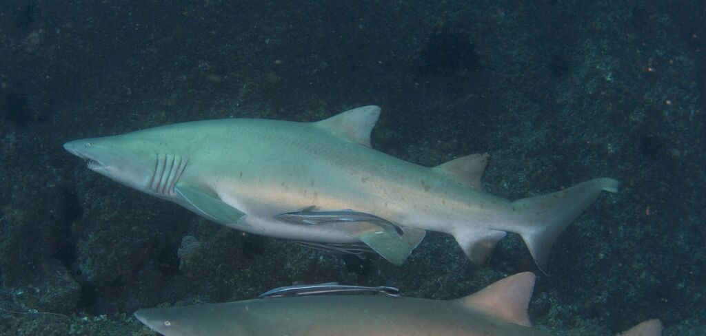 de8359c2-426e-409e-abc2-680ef2d6db96