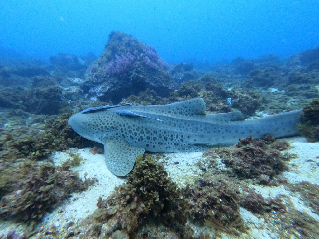 39f520af-3168-4139-a05a-30e9213a551d