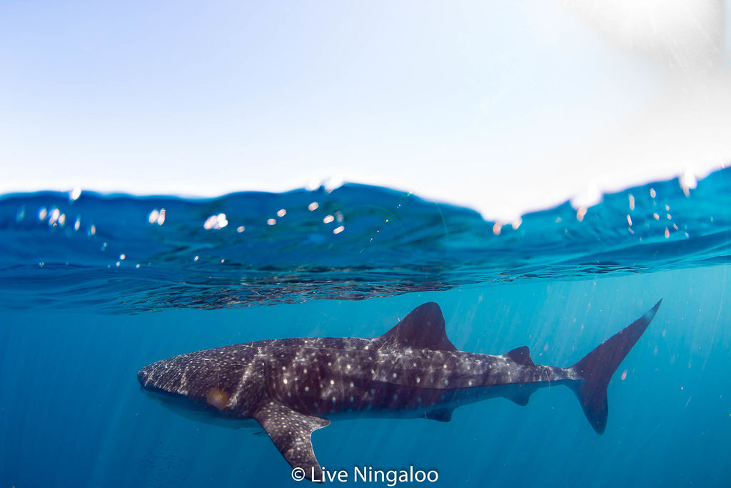 7bb03183-aa10-4434-b7b7-70376d9d1089