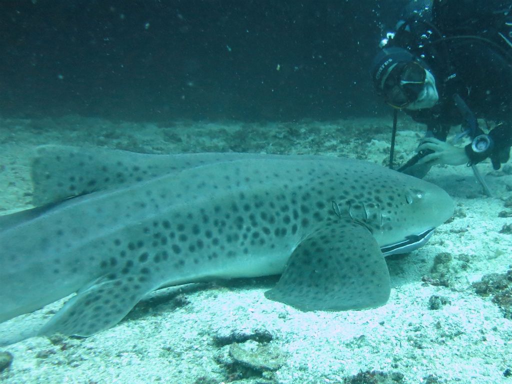 4726deb4-c84c-4f80-b9b4-df4d903ccf8a