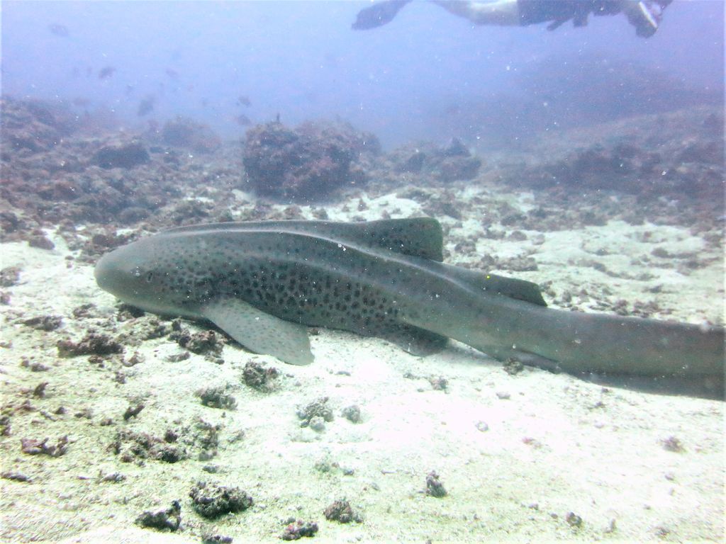 4726deb4-c84c-4f80-b9b4-df4d903ccf8a