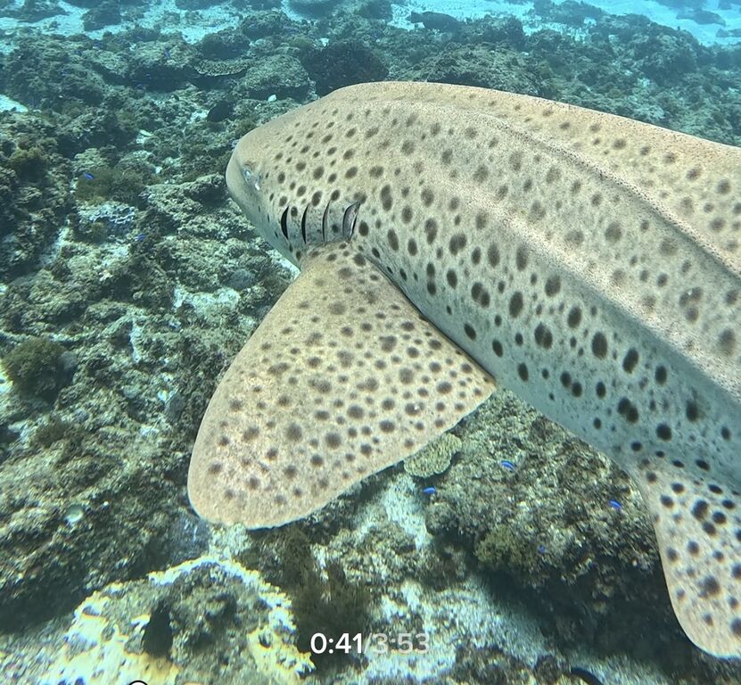 2a5f80dc-c72e-4715-bc91-2d9eef0ab096