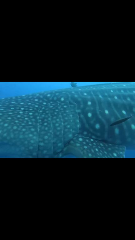 80704cee-0a24-4328-a71e-ed3370a2181b