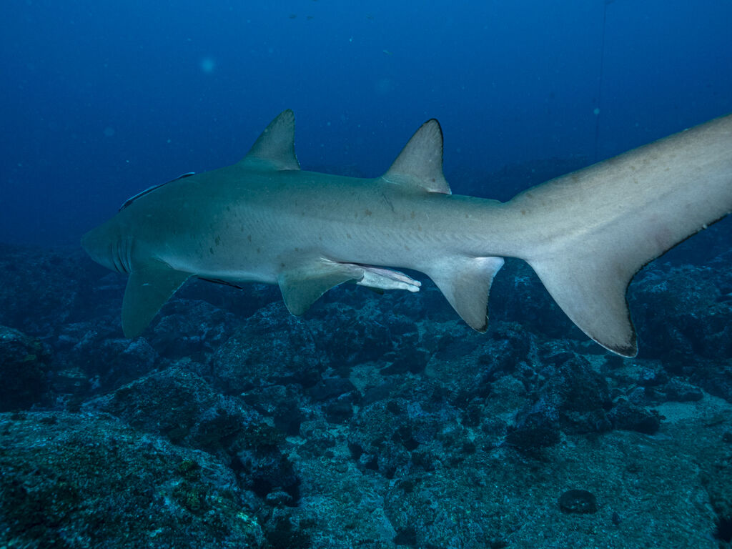 67c4dbec-0566-4806-bcc6-ba0efa1a4b0f