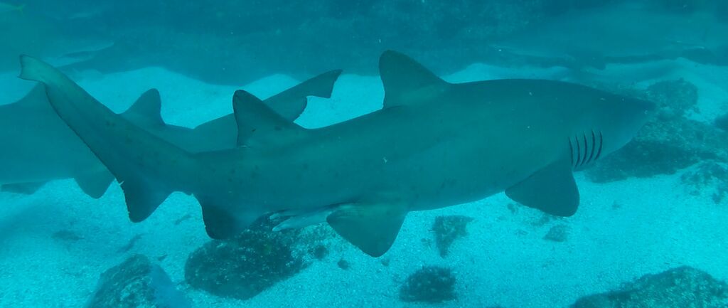 73f6d507-c683-4347-8c9e-5e51bbbfa846