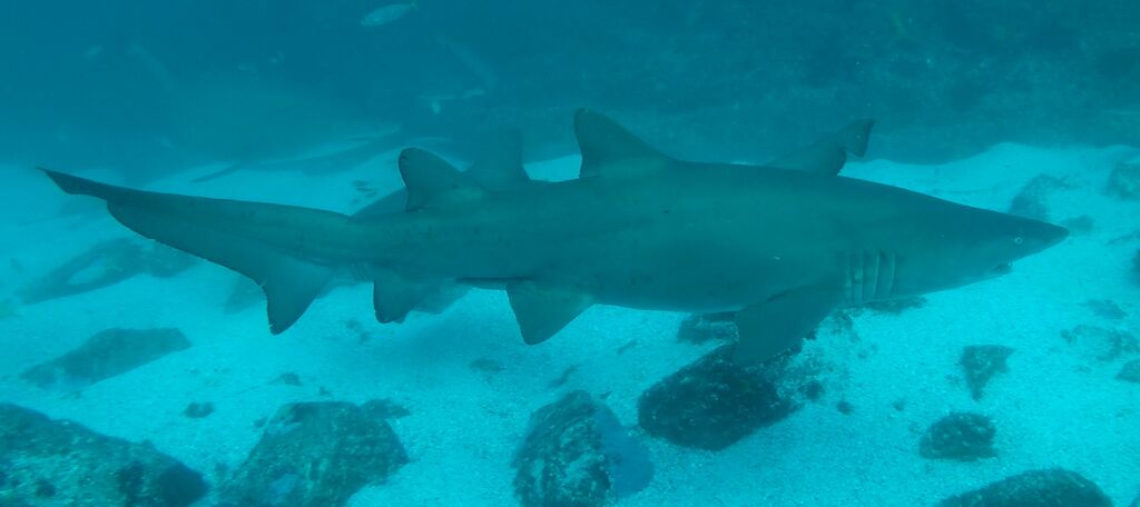 73f6d507-c683-4347-8c9e-5e51bbbfa846