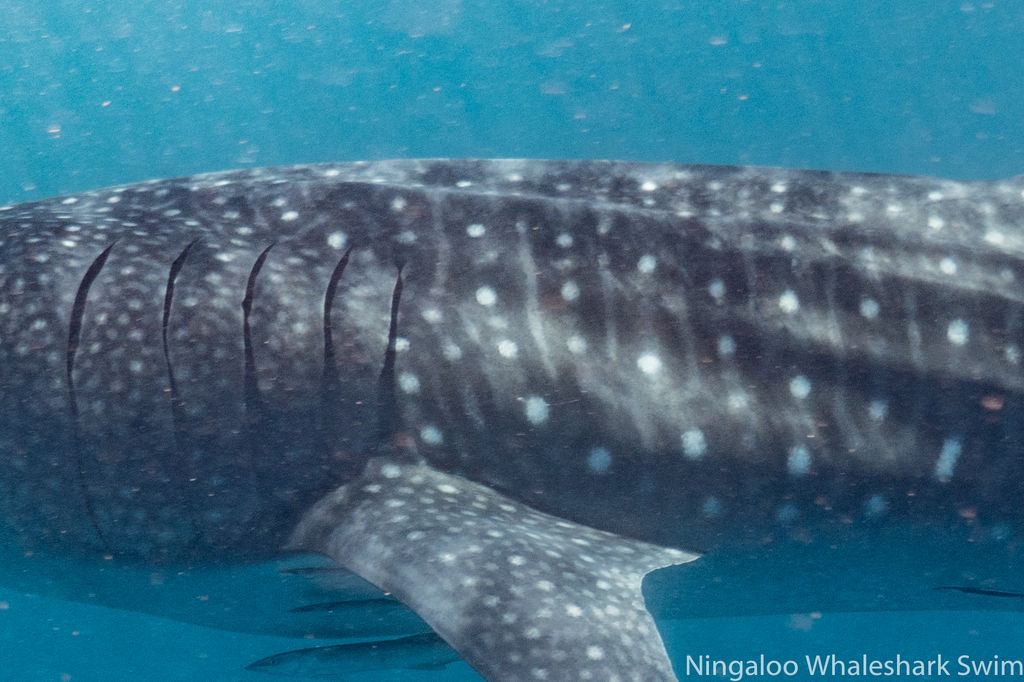 b3fbcac1-a9a9-48e3-8755-770a7f7147b5