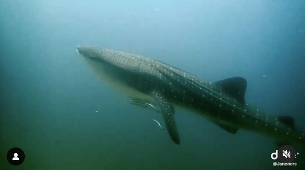 8ad34ffd-26bf-45f9-b76a-b57a46b10028