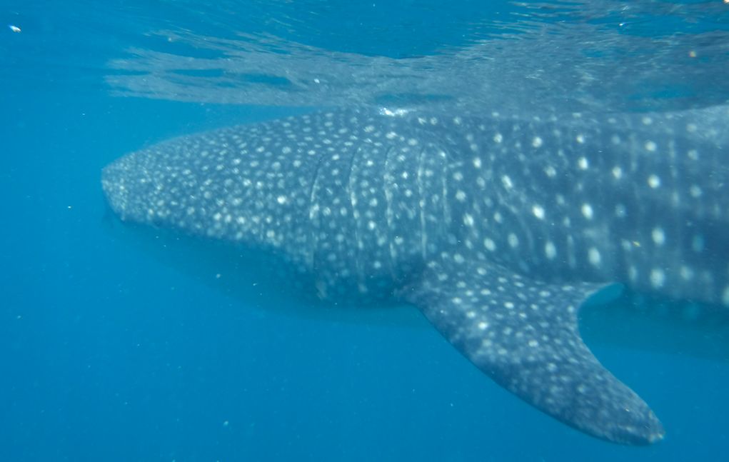 c7d4871e-8a66-464d-b819-cbf0e562a760