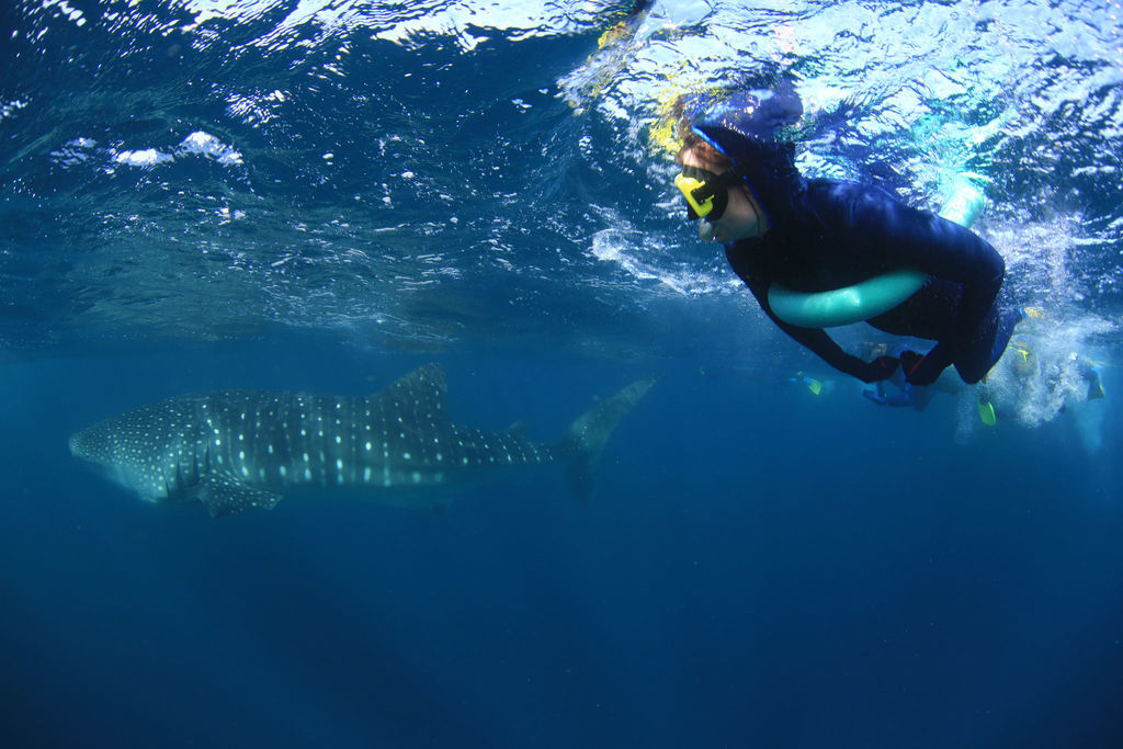 cf5dc2be-91ca-4bc4-84c5-747ab44bae5c