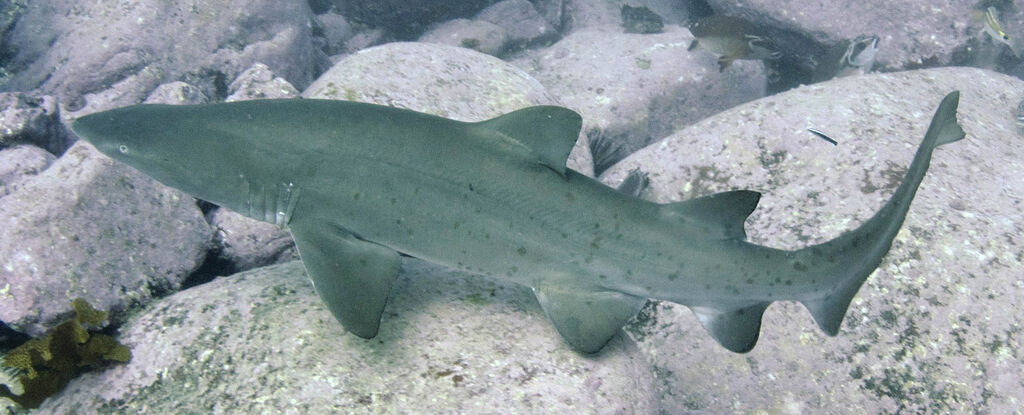 60704ed9-6ef1-4f73-b052-82cdbde0f2c4