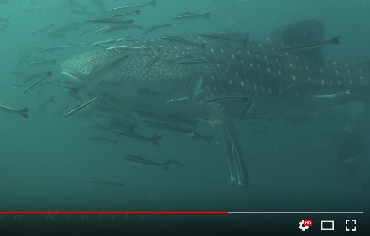 e73bcb31-fce3-4331-bd41-836f4392445b