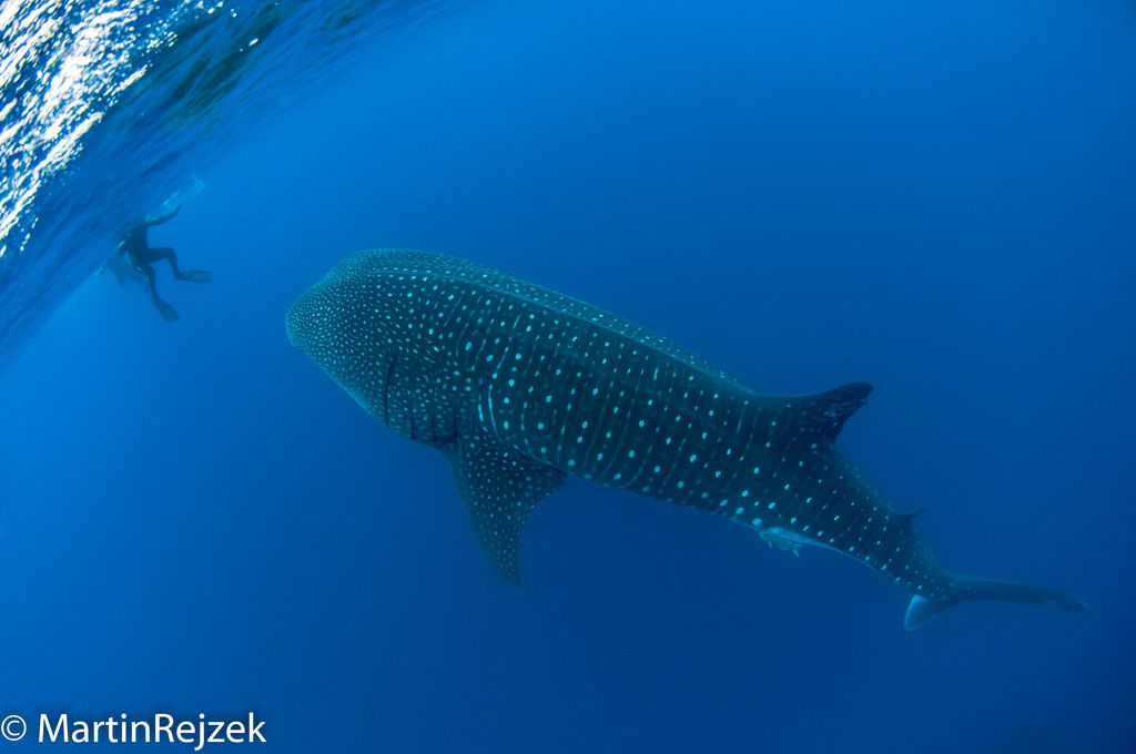 d46ff334-6c73-4337-a203-be4ec4899e41