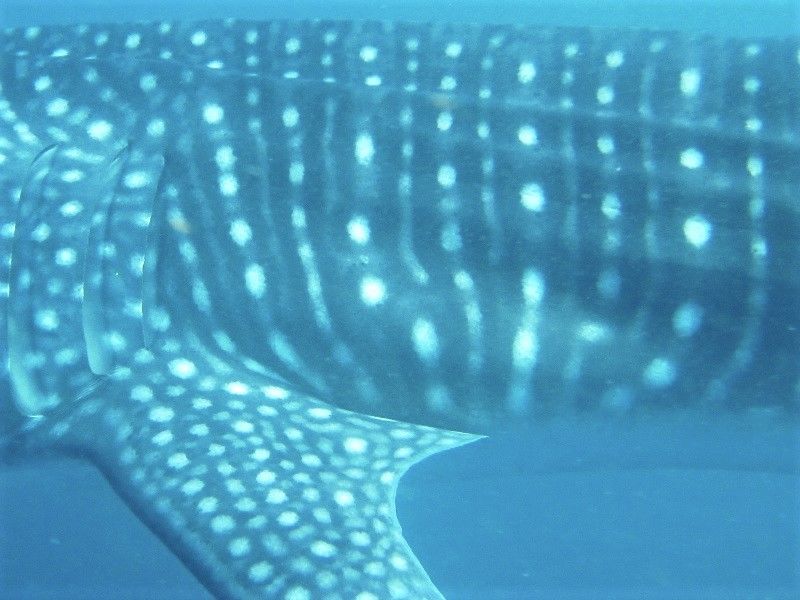 f4da3f78-3c67-4019-879d-c4e684a595fe