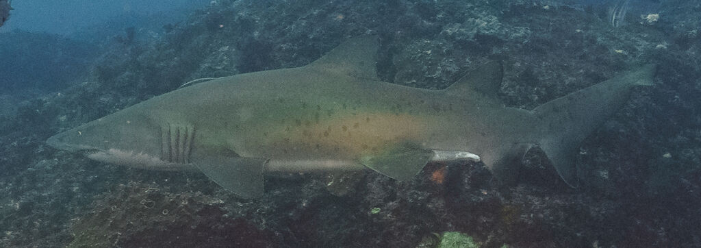 86af1e17-159c-4a7e-8c90-2d3f939bb50f