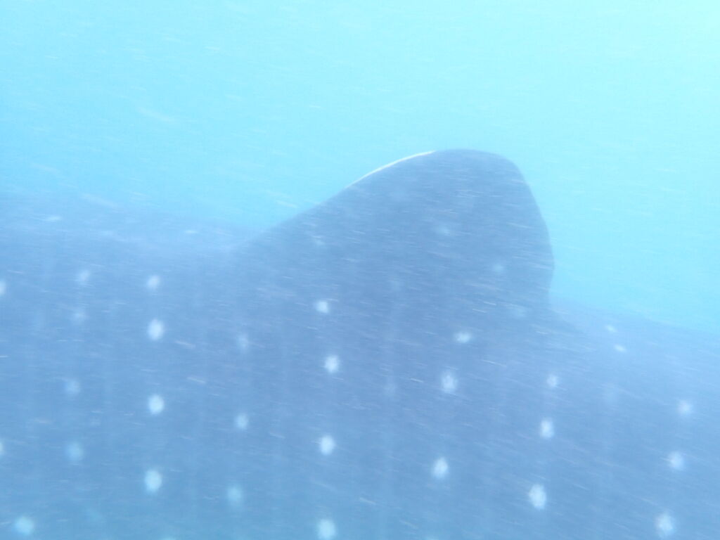 574f7098-e2ad-44f1-928b-2d12f8fd6ea1