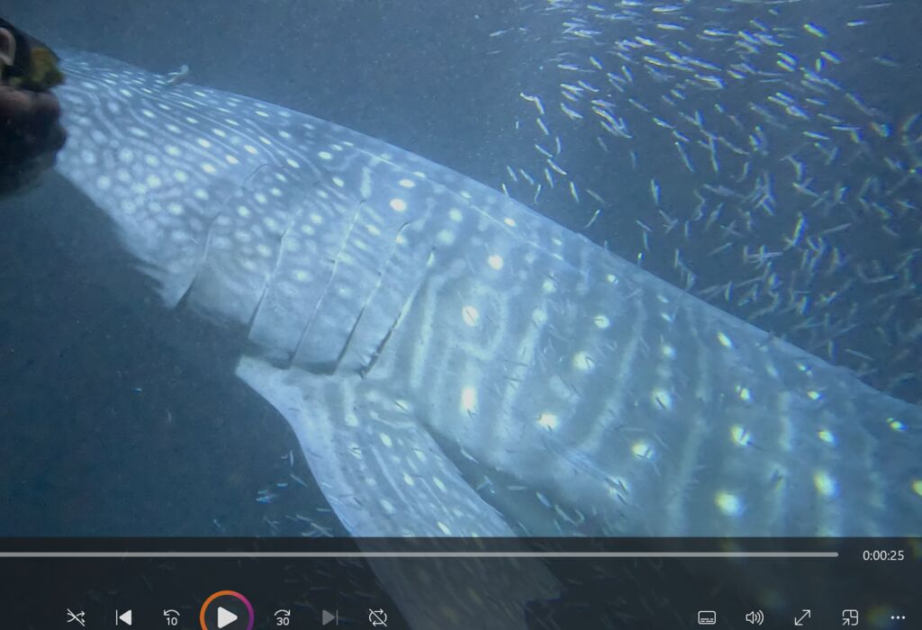 5c301dd1-774f-4145-bf6d-4de7abcc2e0a