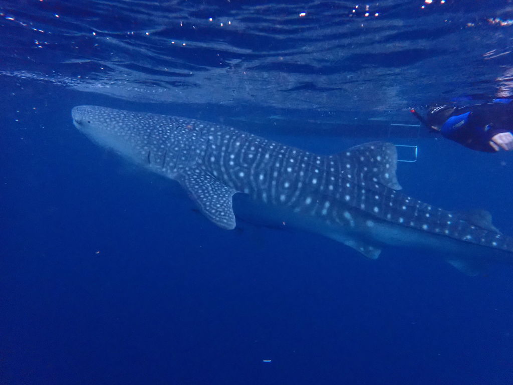 b1b91269-05f7-436c-b664-6b6e3ecce849