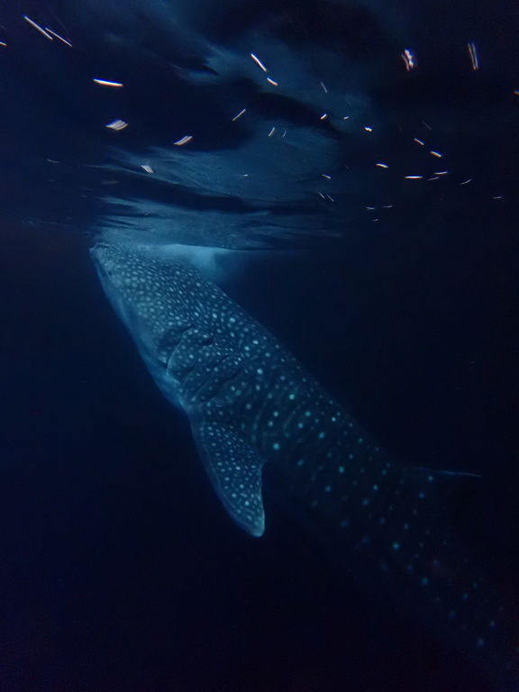 b1b91269-05f7-436c-b664-6b6e3ecce849