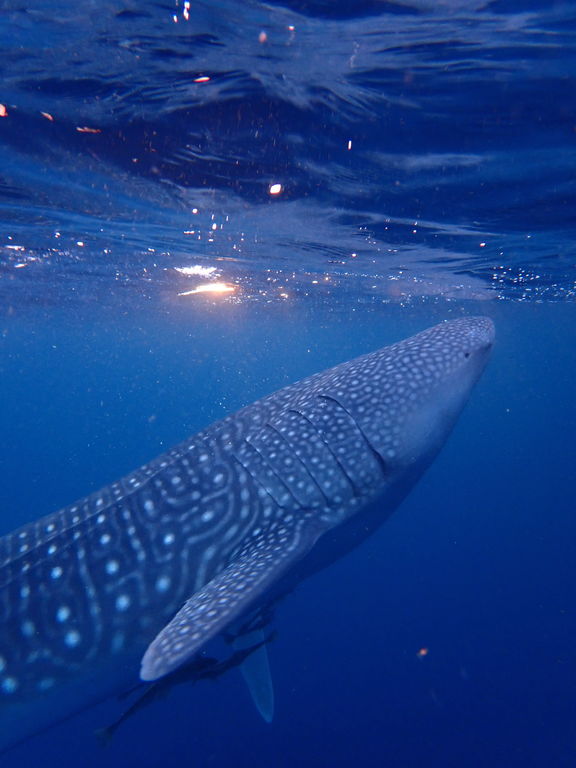 b1b91269-05f7-436c-b664-6b6e3ecce849