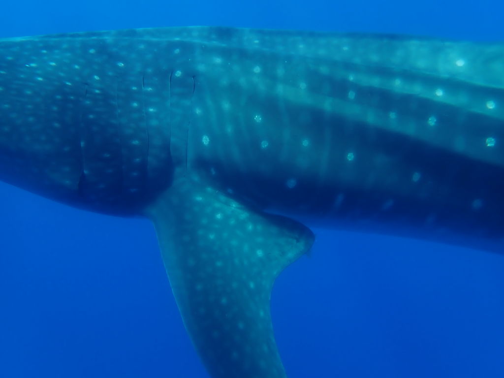 264b30b1-a508-41a5-8cef-b07b29cd0886