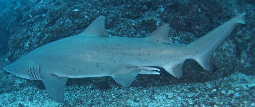 0c550c59-3192-4b17-b16d-2fd6ea6413f2