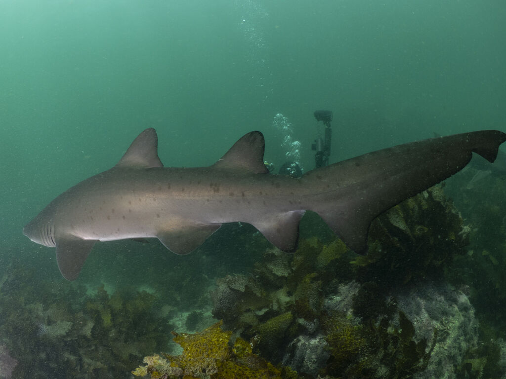 f4f5cc9a-be92-4805-838b-5491f55afc7c