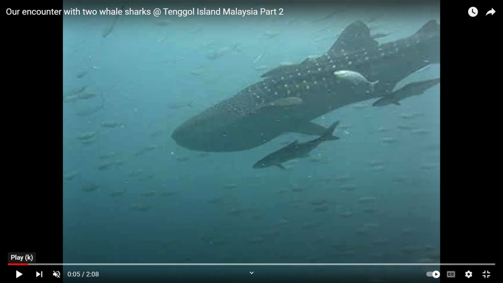 e95cc242-7780-4858-8a9f-b8d735c1ddcd