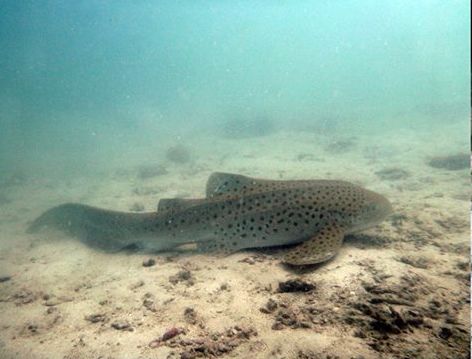 1a20d605-45b7-45d4-8944-aa10e3ca2645