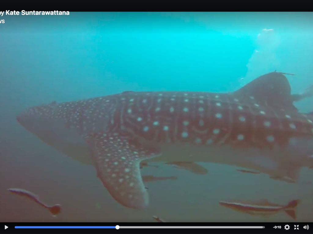 8e7bd973-26db-4afc-9ed8-49325843bd8c