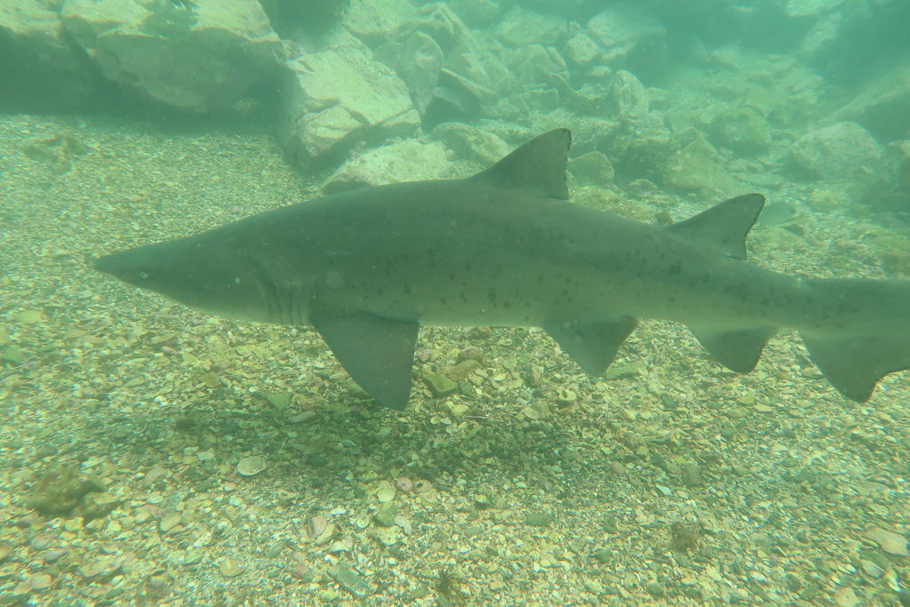 4c8c7576-f10f-4f72-8c92-8a9f4a95afdd