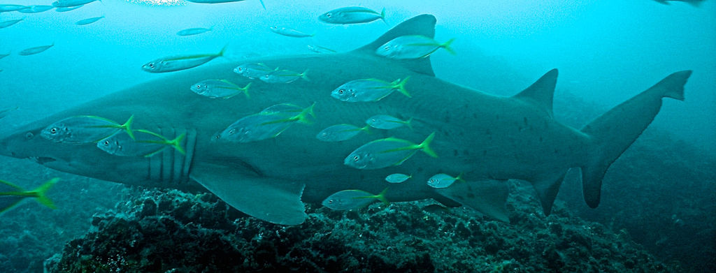 efbe63b0-2bad-4762-be81-f62e176f1eb4