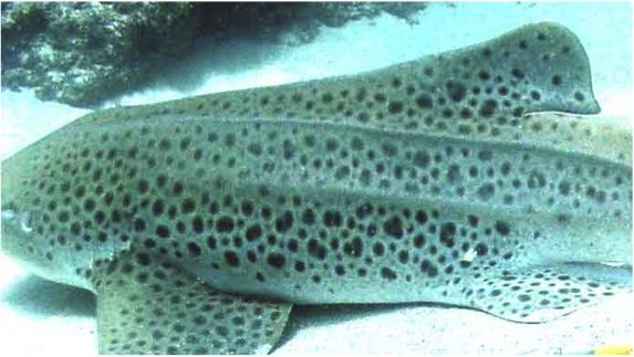 87499b36-e572-4e23-b4a7-18e9362ce3b5