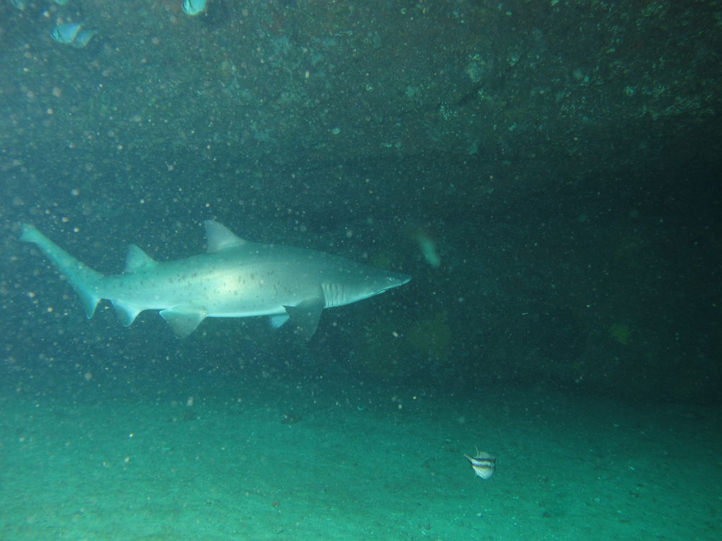 0708cce7-2093-4d4a-b62d-1c1e6a116f02