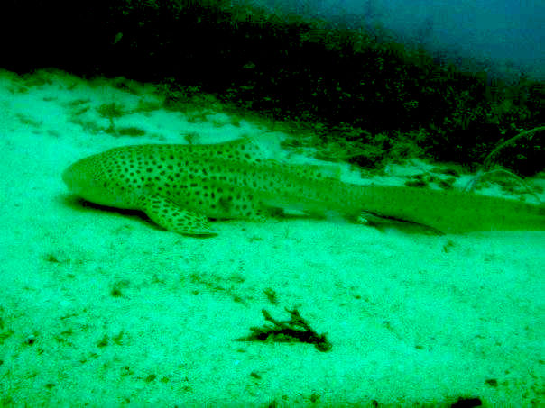 064e80e2-523c-43fa-bc2a-ad8ed8900996