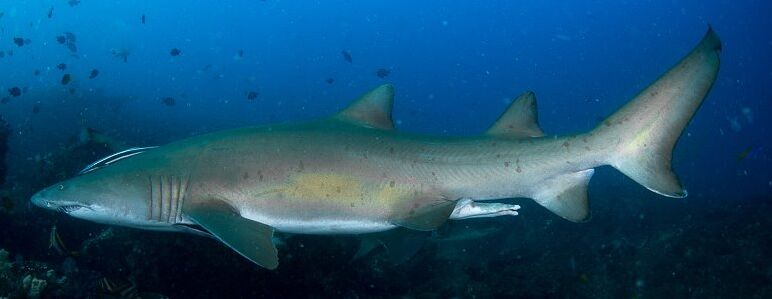 be6cd894-0b07-4ec8-bf2f-a754fc360652