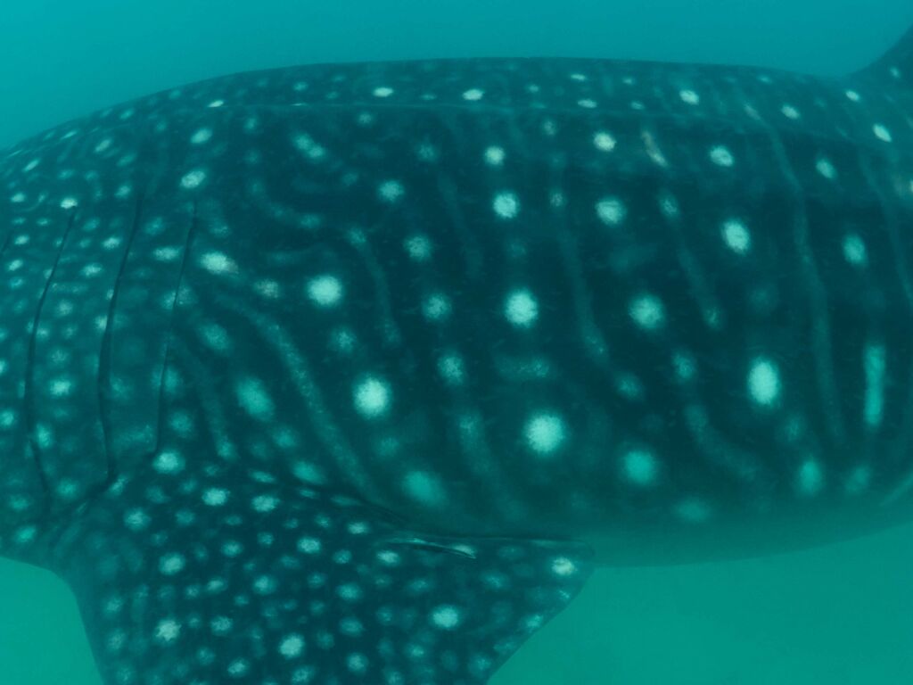 fa8ed92f-6388-4f41-8e89-47da487c6522