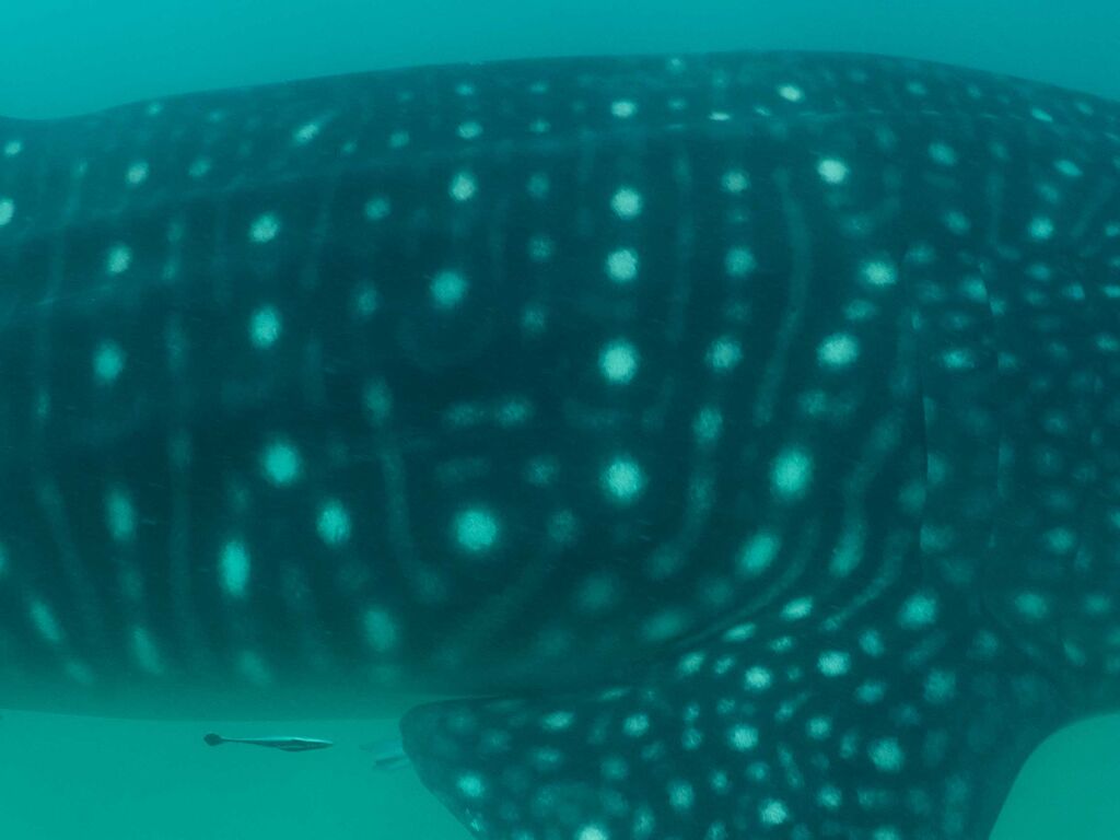 fa8ed92f-6388-4f41-8e89-47da487c6522