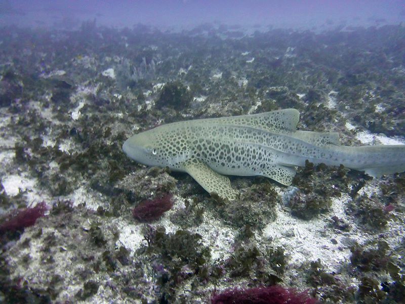 15a0005b-660d-4473-a3cd-74482c0aea94