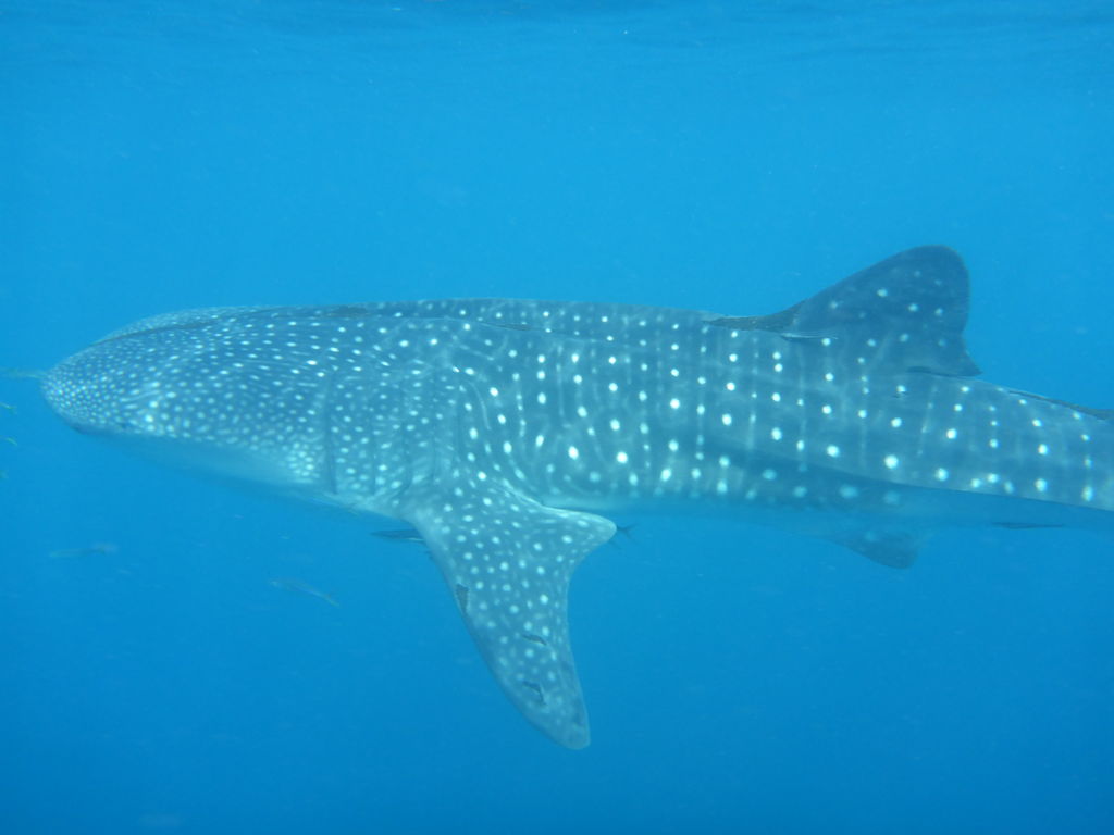 3266998e-a0d3-4f03-ae52-b27938258426