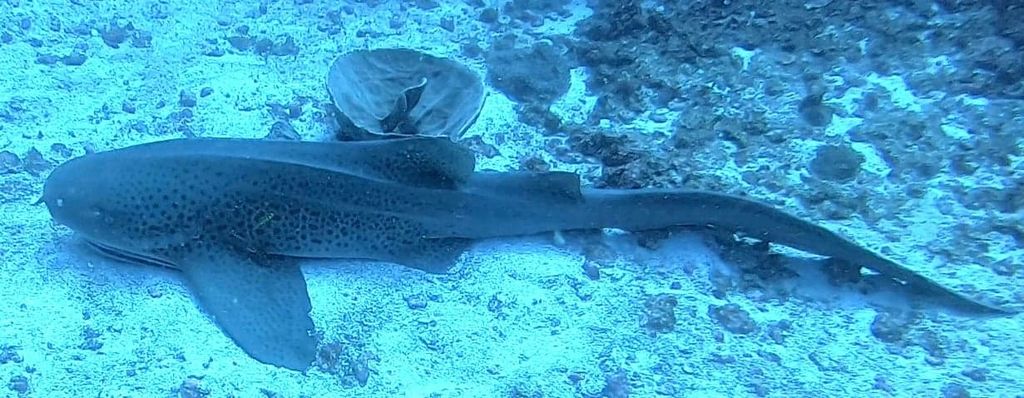 ca8a7900-ca6f-42d8-9477-4051e1cebc88