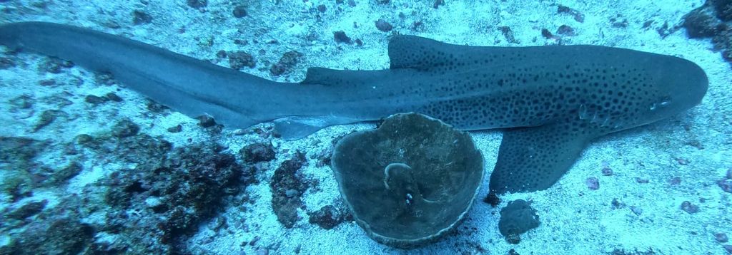 ca8a7900-ca6f-42d8-9477-4051e1cebc88