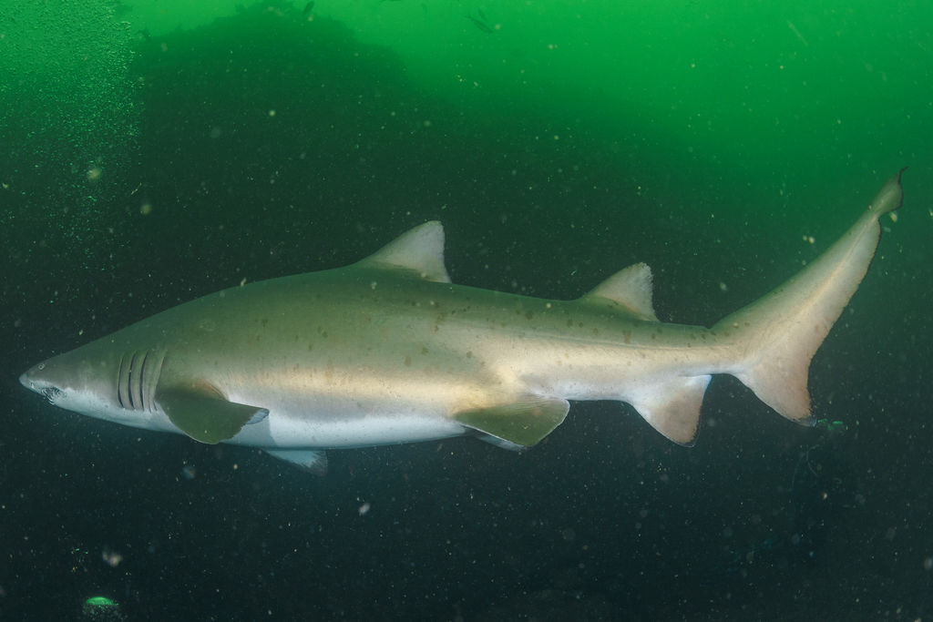 43b385e2-2b22-4903-8c09-95bba7c1350a