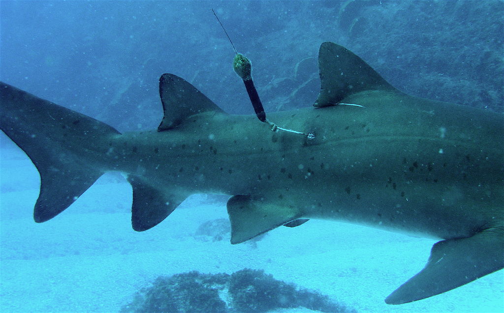 895a7791-f384-46e1-89df-1c6a776ddf67